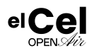 logo-open-air-negro